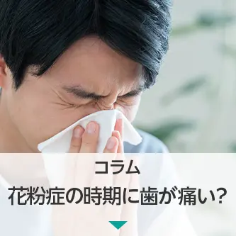 コラム｜花粉症の時期に歯が痛い？頬の違和感は上顎洞炎かもしれません