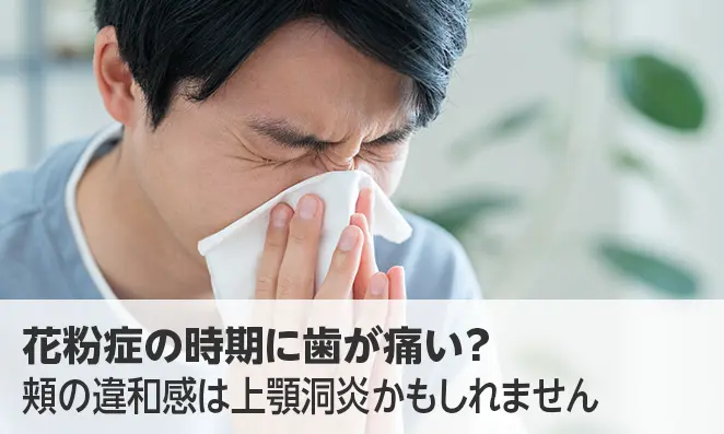 花粉症の時期に歯が痛い?頬の違和感は上顎洞炎かもしれません