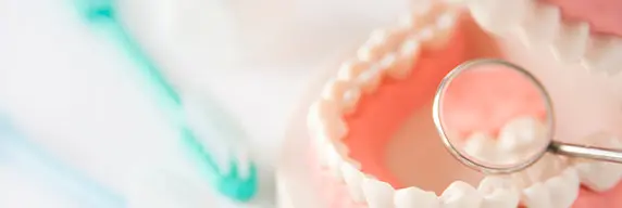 コラム：藤尾歯科医院の定期健診、歯のクリーニングって何をするの？初めてのメンテナンスの流れをやさしくご紹介